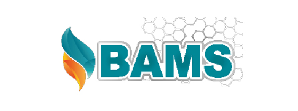 Artboard 11 copy-100